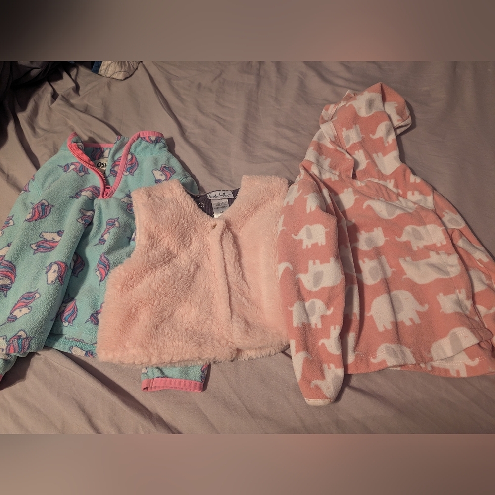 24m Girl Sweatshirt Bundle